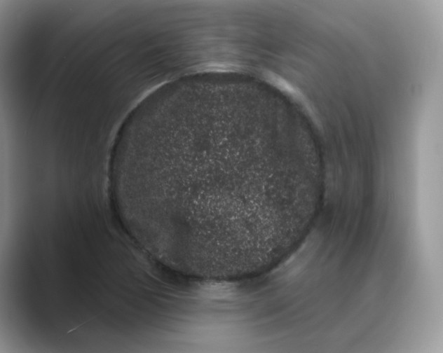 X0000089741170200707051751