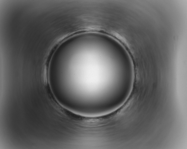 X0000089741171200707051751