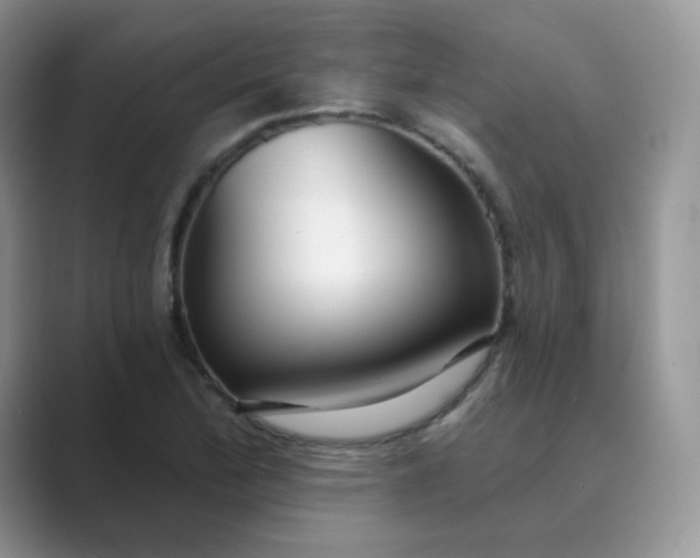 X0000089741172200707051751