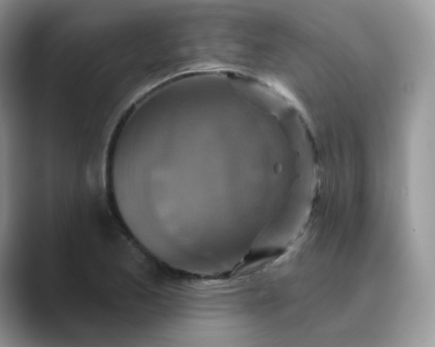 X0000089741173200707051751