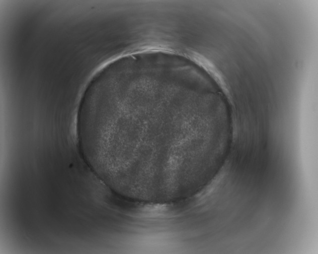 X0000089741174200707051751