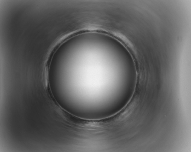 X0000089741175200707051751