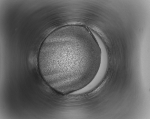 X0000089741177200707051751