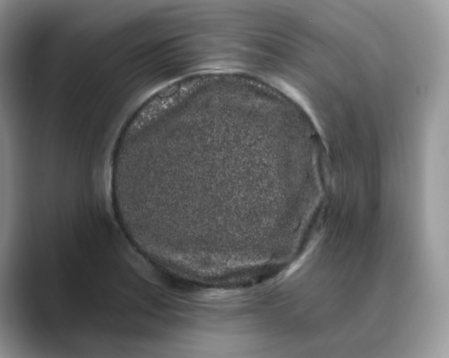 X0000089741179200707051751