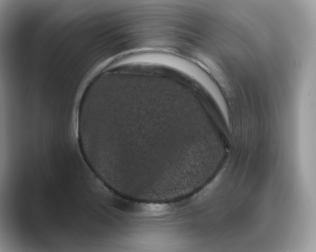 X0000089741180200707051751