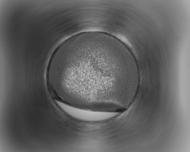 X0000089741181200707051751