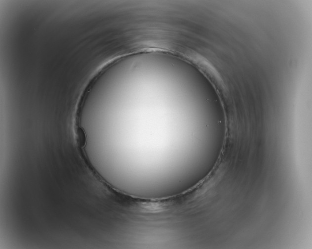 X0000089741182200707051751