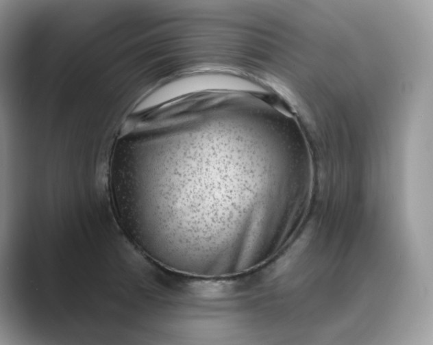 X0000089741185200707051751