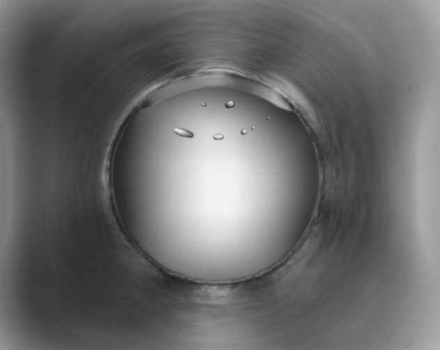 X0000089741190200707051751