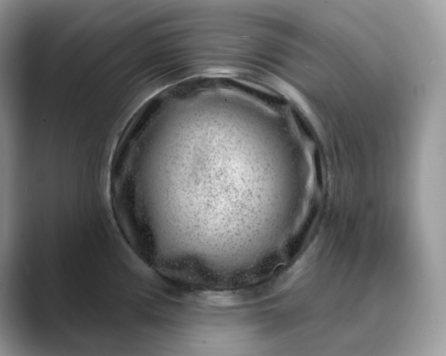 X0000089741194200707051751