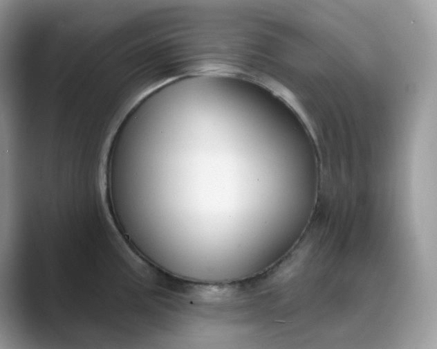 X0000089741195200707051751