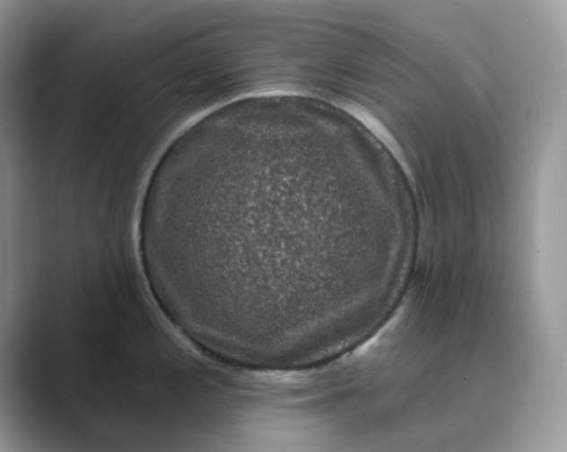 X0000089741197200707051751