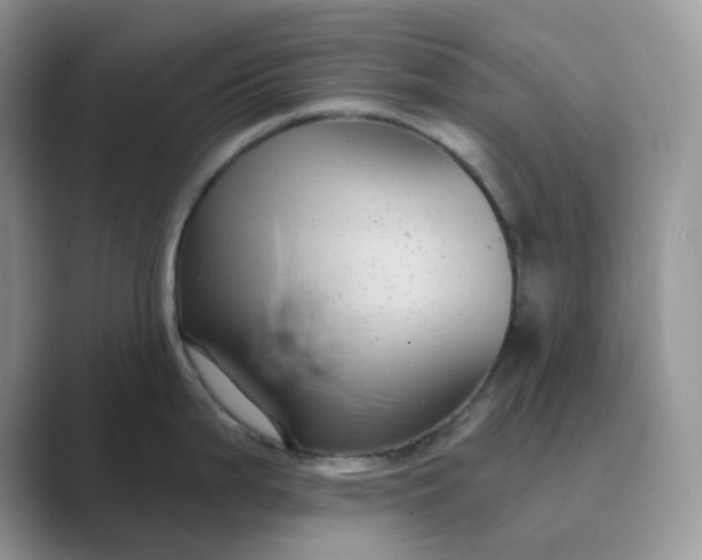 X0000089741199200707051751