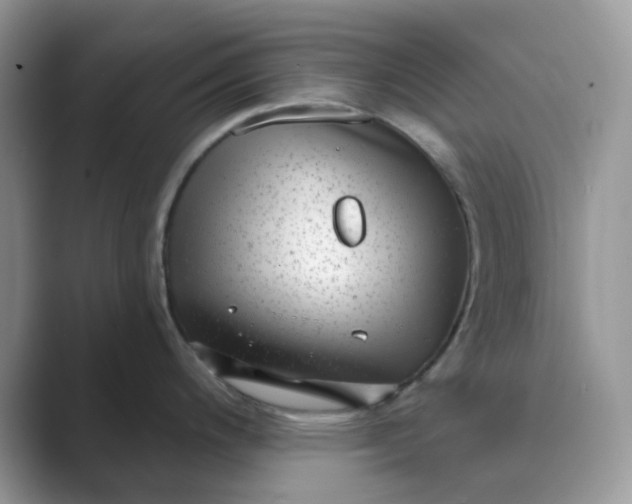 X0000089741200200707051751