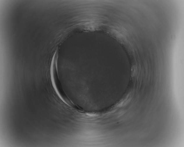 X0000089741202200707051750