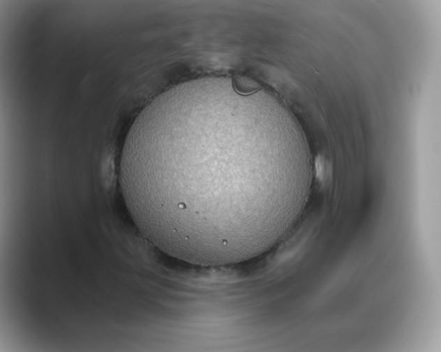 X0000089741203200707051750