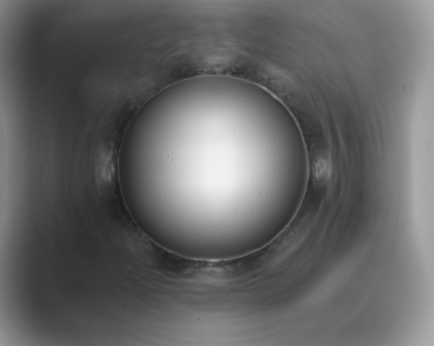 X0000089741204200707051750