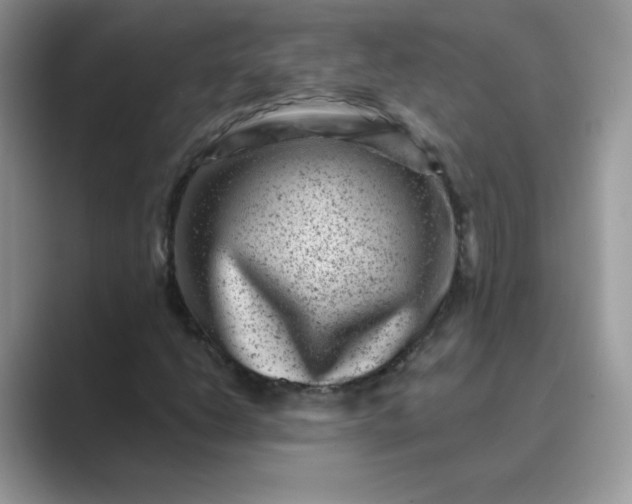 X0000089741206200707051750