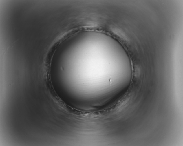 X0000089741208200707051750