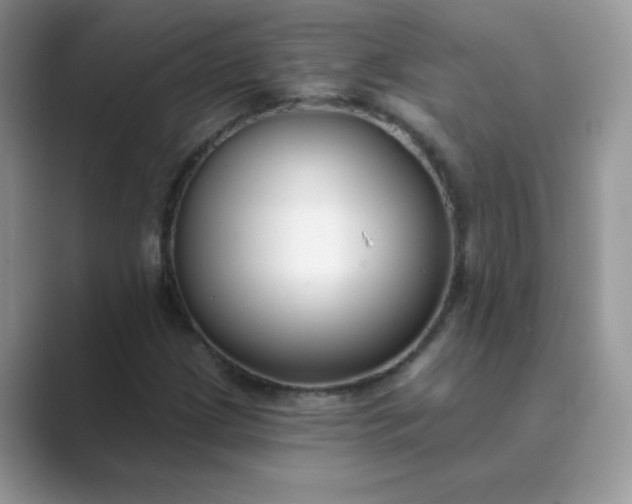 X0000089741209200707051751