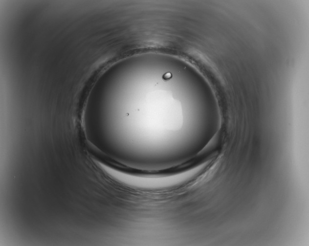 X0000089741210200707051751