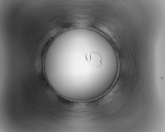 X0000089741211200707051751