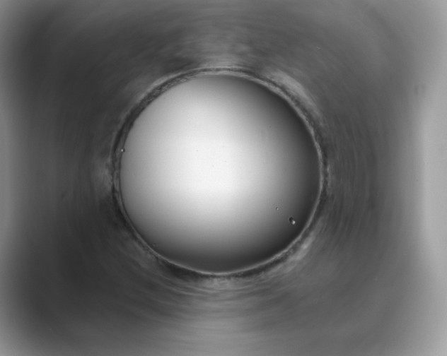 X0000089741212200707051751