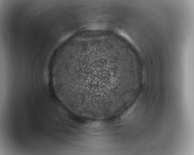 X0000089741213200707051751