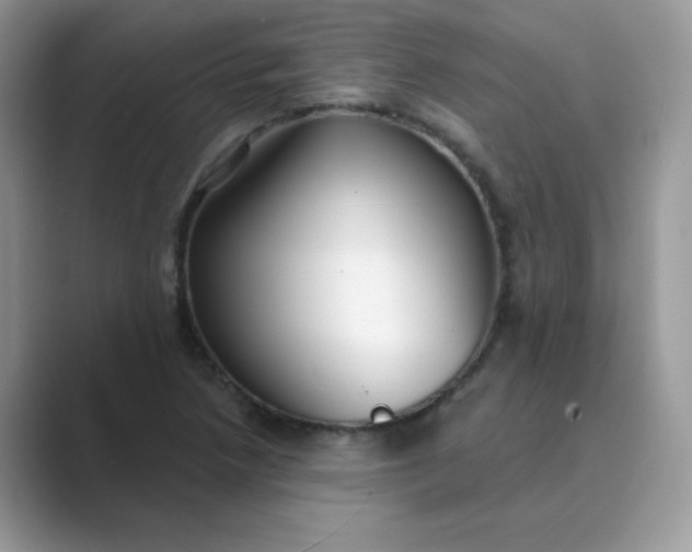 X0000089741218200707051751