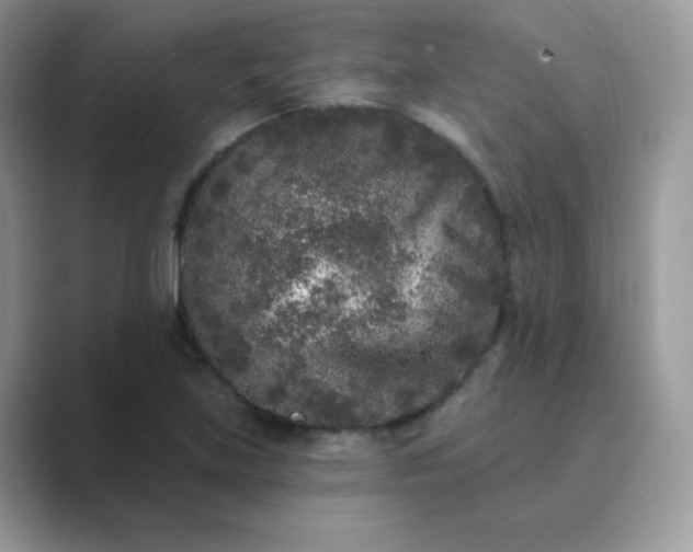 X0000089741219200707051751