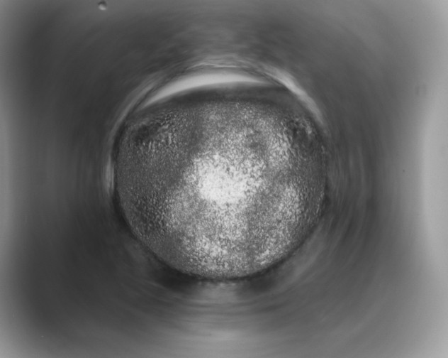 X0000089741221200707051751