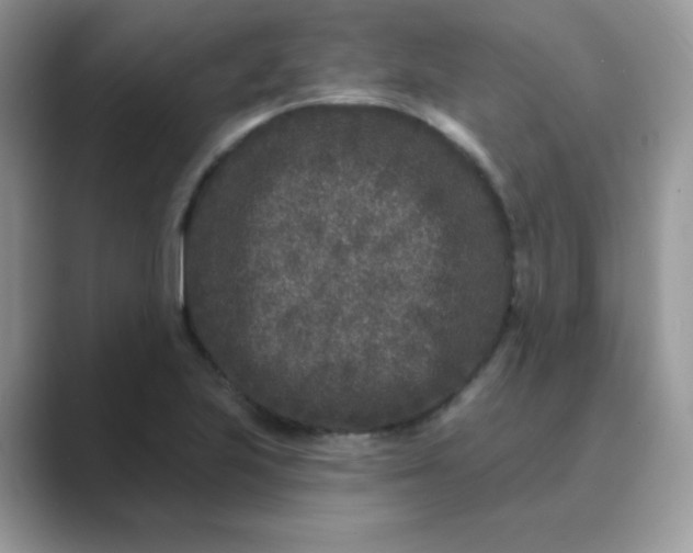 X0000089741223200707051751