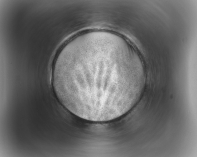 X0000089741224200707051751