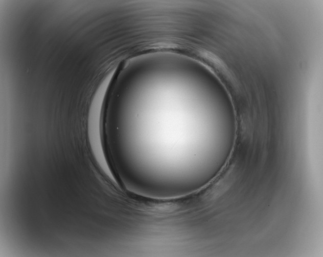 X0000089741225200707051751