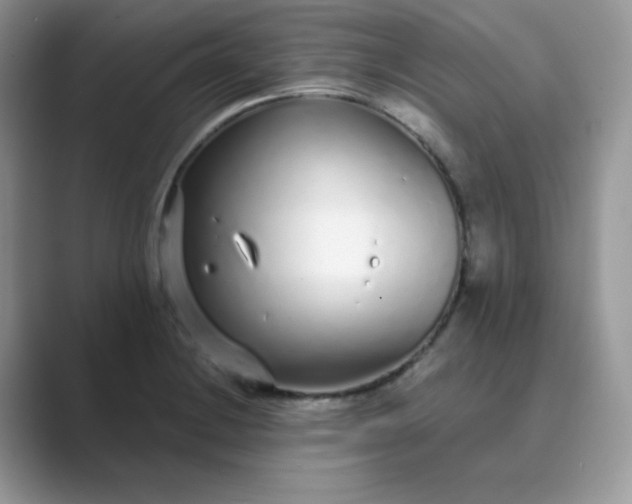 X0000089741228200707051751