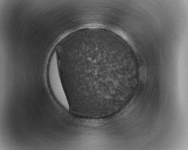 X0000089741229200707051751