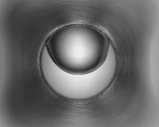 X0000089741230200707051751