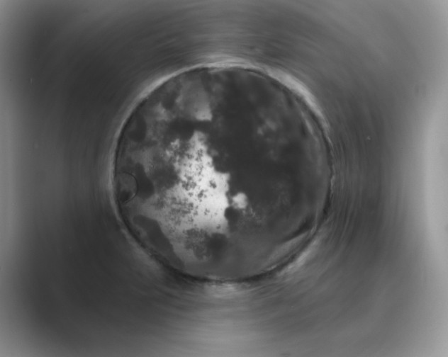 X0000089741231200707051751