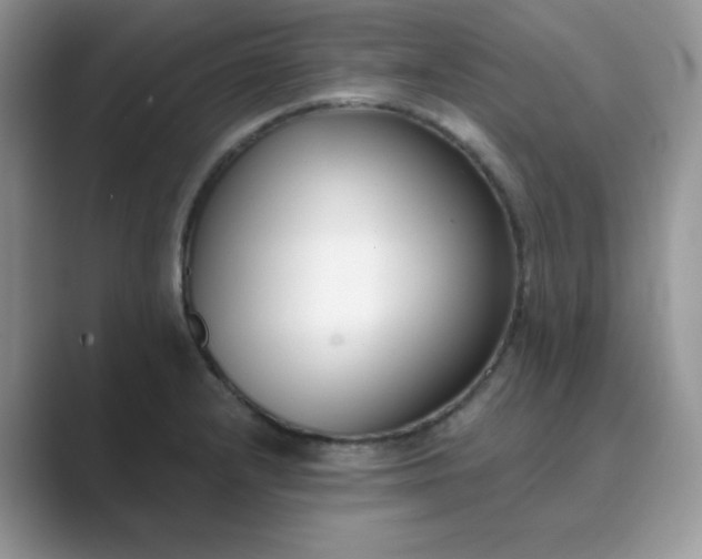 X0000089741232200707051751