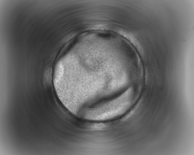 X0000089741233200707051751