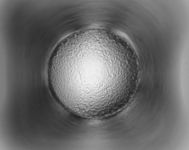 X0000089741235200707051751