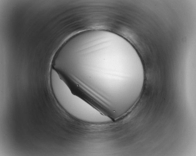 X0000089741236200707051751