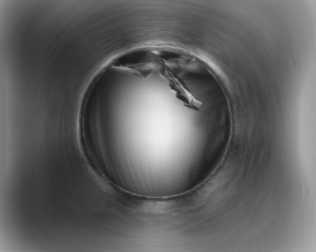 X0000089741237200707051751