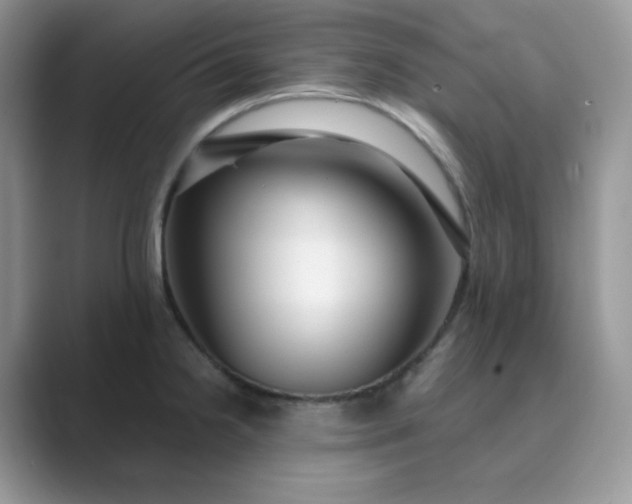 X0000089741238200707051751