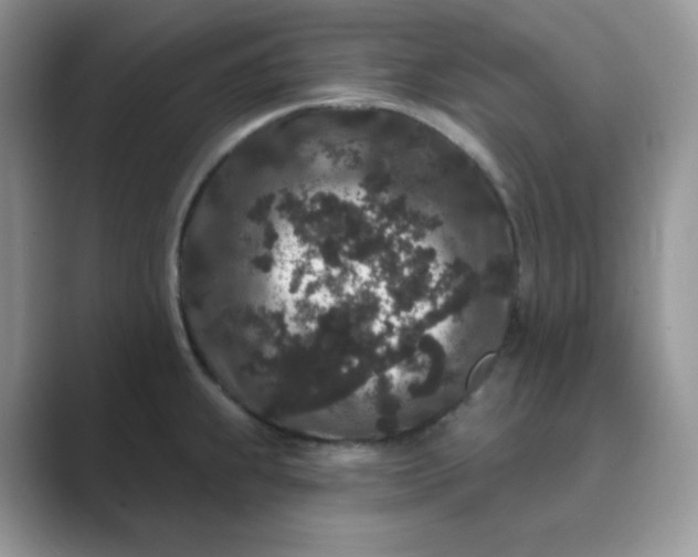 X0000089741239200707051751