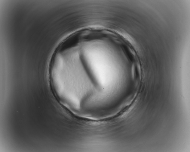 X0000089741240200707051751