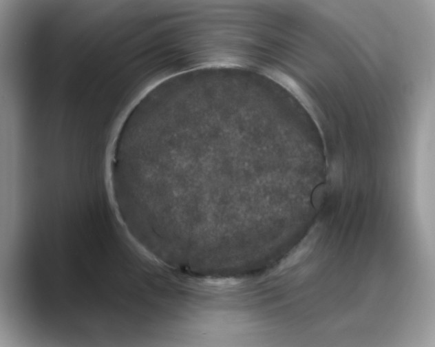 X0000089741243200707051751