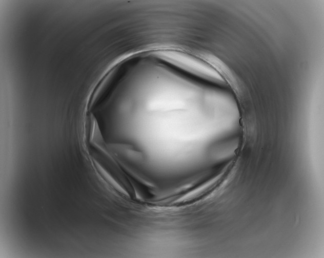 X0000089741244200707051751