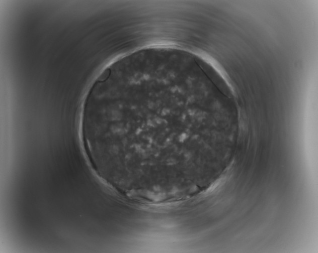 X0000089741245200707051751