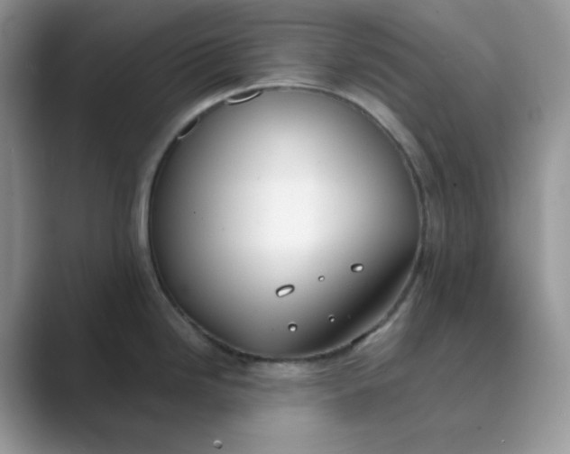 X0000089741246200707051751